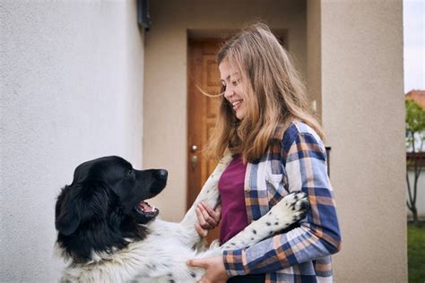 犬が『飼い主に飛びつく』理由7つ 愛犬の飛びつき癖を治す方法や正しいしつけ方まで わんちゃんホンポ