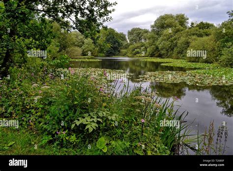 Kingsbury Water Park North Warwickshire England Uk Stock Photo Alamy