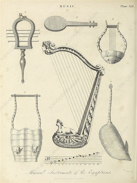 Egyptian musical instruments, 19th century illustration - Stock Image - F034/1725 - Science ...