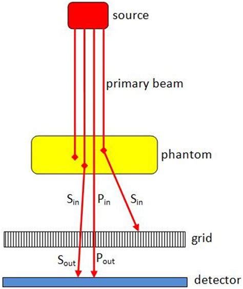 Geometry Of Irradiation And Beam Parameters Download Scientific Diagram