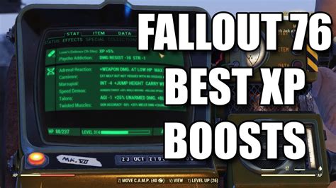 Fallout 76 builds for melee rifle - freeloadssup