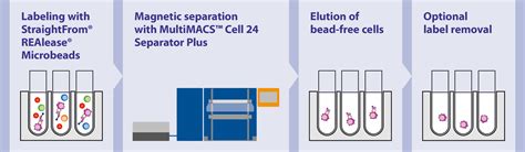 Cell Labeling For Immune Cell Isolation Miltenyi Biotec USA