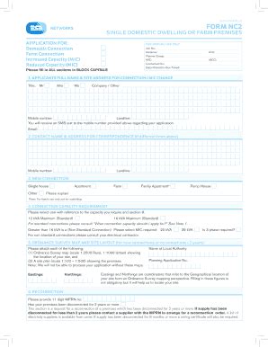 Download The Application Form NC2 - Esb - Fill and Sign Printable Template Online