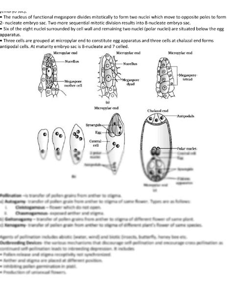 Solution Sexual Reproduction Of Flowering Plants Studypool