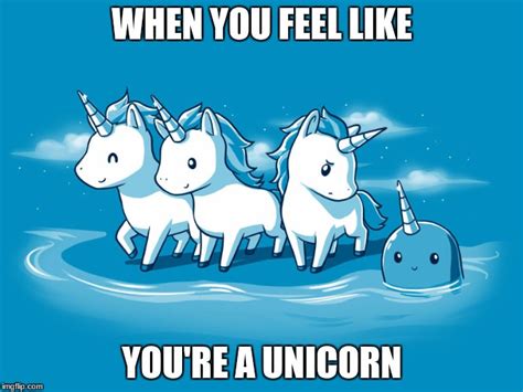 Unicorns Imgflip