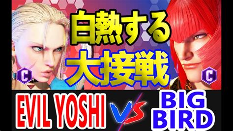 Evil Yoshi Cammy Vs Big Bird Marisa Street