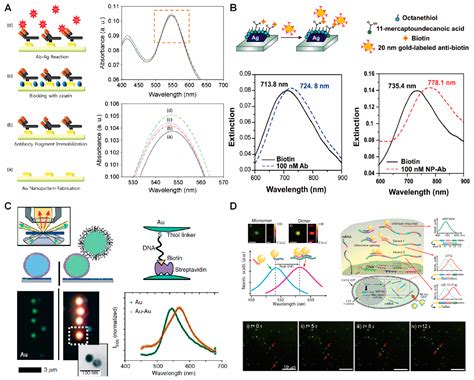 Ijms Free Full Text Application Of Gold Nanoparticle To Plasmonic Biosensors