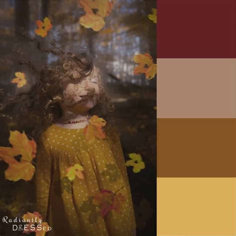 Dark Autumn Deep Winter Warm Spring Soft Summer Soft Autumn Color