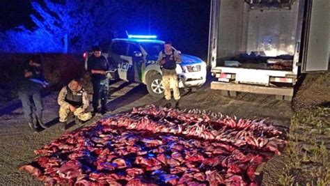 Los Atraparon Con Kilos De Carne Faenada Clandestinamente