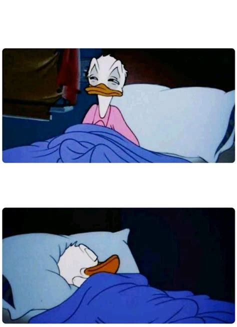 Donald goes back to sleep // sleep Donald Duck : r/TemplateMemes