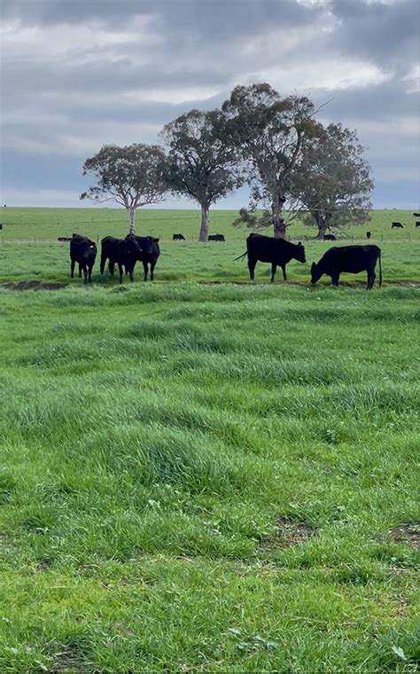 Saving Our Soils Stock Management Areas Table Top Workshop Holbrook