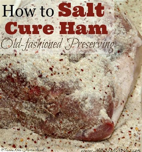 How To Salt Cure A Ham At Home Prepper Food Cured Meats Smoked Food