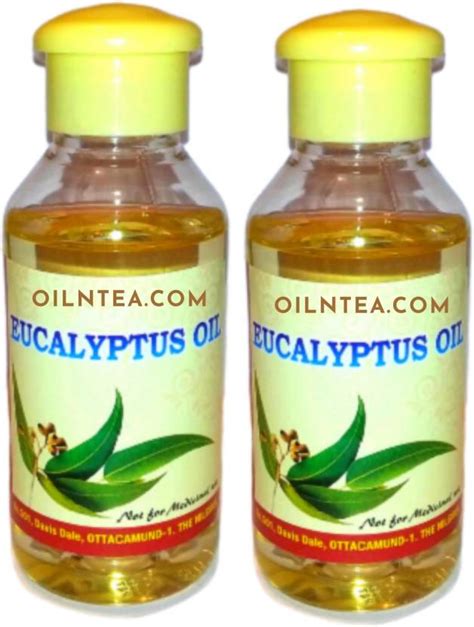 Oilntea Nilgiri Eucalyptus Oil 100 Ml Nilgiri Ka Tel 100 Pure And Natural Pack Of 2 Price