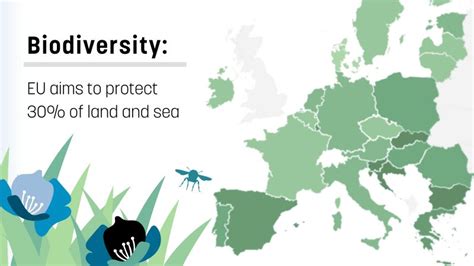 Biodiversity In Europe EU Aims To Protect 30 Of Land And Sea Euractiv