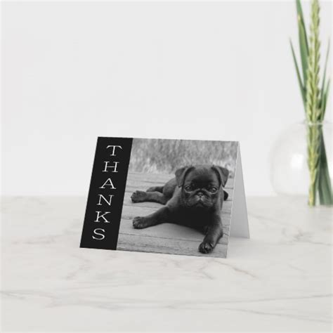 Thank You Pug Puppy Dog Black And White Note Card