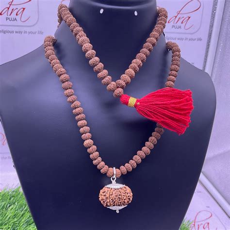 Buy Authentic 10 Mukhi Rudraksha Mala 10 मुखी रुद्राक्ष माला Rudrapuja