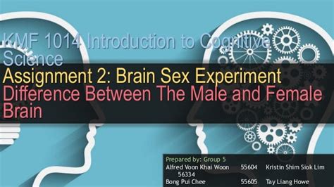 Assignment 2 Brain Sex Experiment