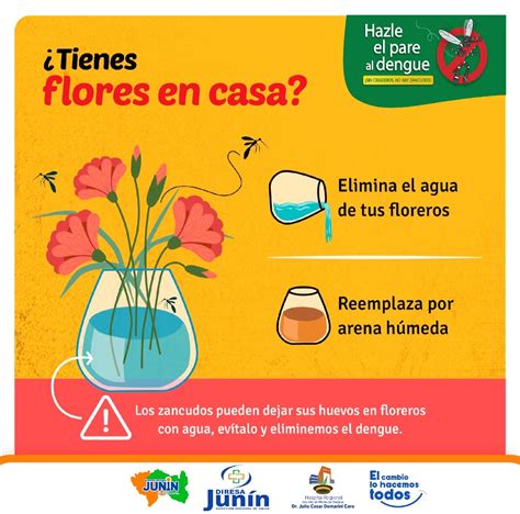 Si Tienes Flores O Plantas En Casa Aprende C Mo Prevenir El Dengue