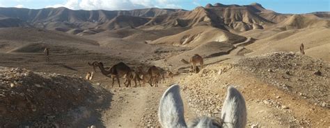 Biblical Mizpah: Central Meeting Place in Israel | HolyLandSite.com