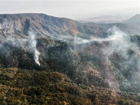 Se Registra Incendio En La Selva De Los Chimalapas Meganoticias