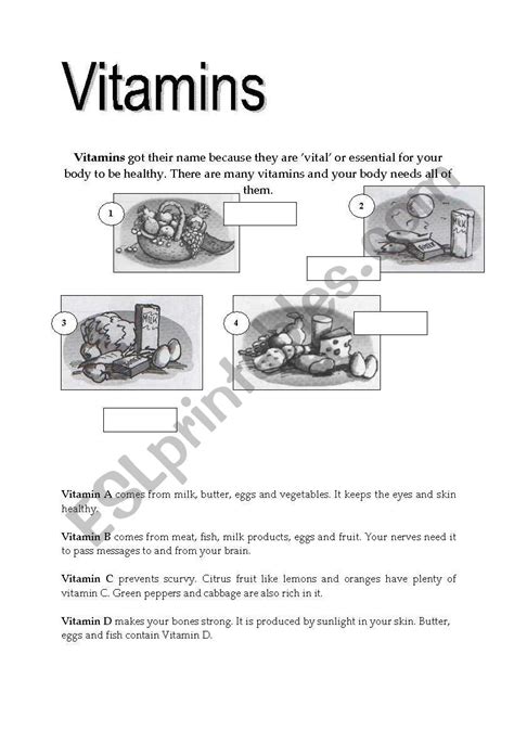 Vitamins And Minerals Worksheet Wordmint Worksheets Library