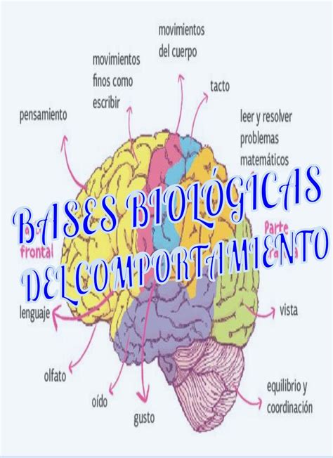 Bases Biol Gicas Do Comportamento Braincp