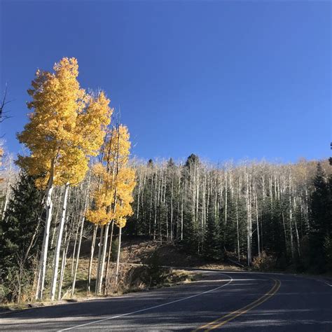 Rolling Into The Beautiful Aspens In Santa Fe New Mexico Country