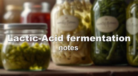 Stages Of Lactic Acid Fermentation Hard Wired