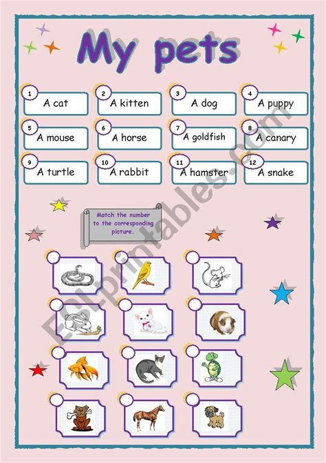 My Pets Esl Worksheet By Salsera