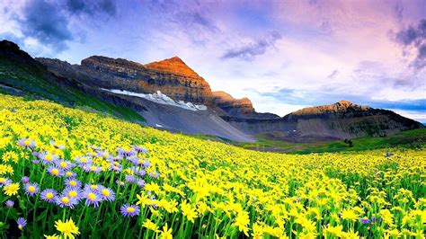 5 Five 5 Nanda Devi And Valley Of Flowers National Parks India