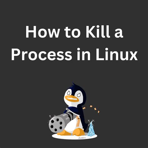 How To Kill A Process On Linux Akmatori Blog