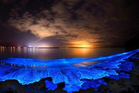 We have glowing beaches here on Earth and they are spectacular ...