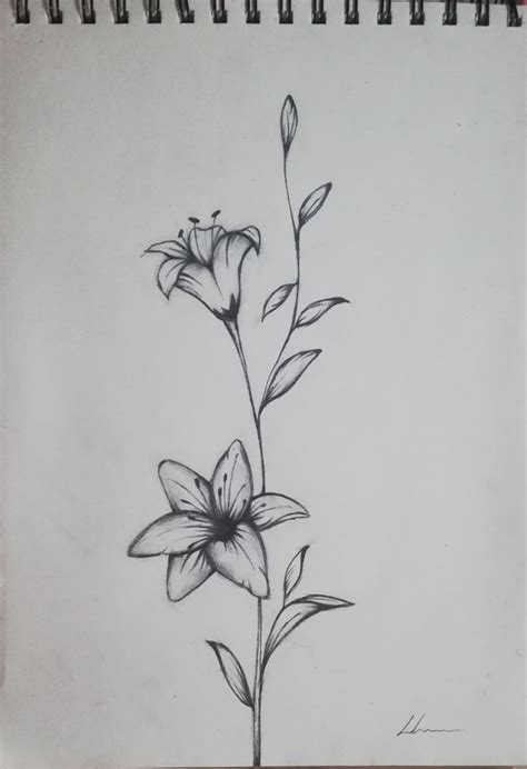 Dibujo Flores A Lápiz 🥀 Flores A Lapiz Flores Imagenes Graffiti