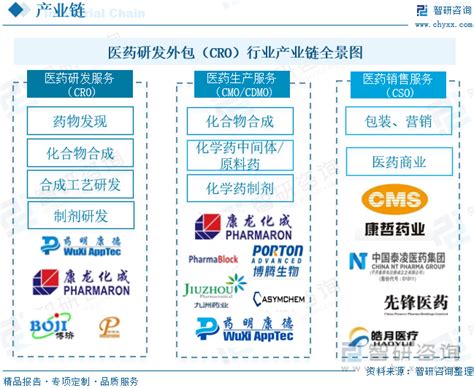 2022年中国cro行业全景速览：cro行业发展进入快车道 图 智研咨询