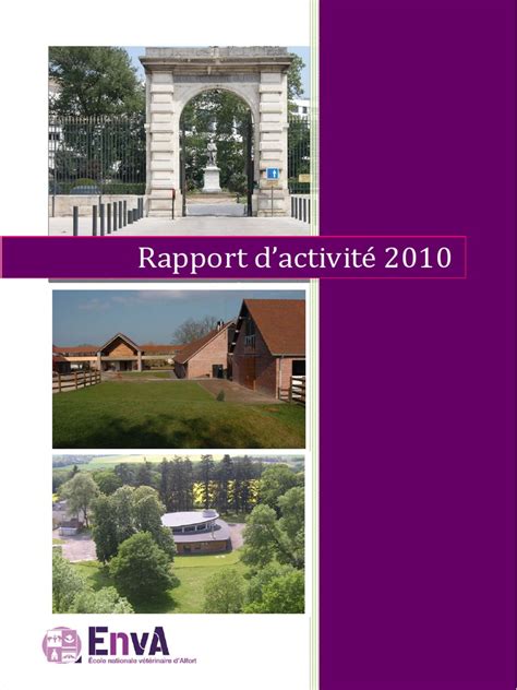 Pdf R Rapport Activite V Pdf Dokumen Tips