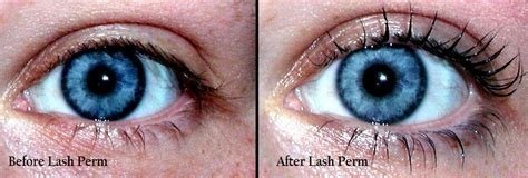 Eye Lash Perm & Lash Lift - Lash Perm Home