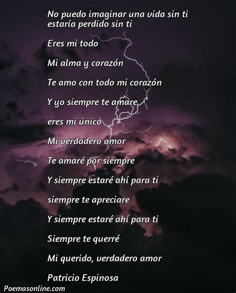 Cinco Mejores Poemas Para Mi Gran Amor Eterno Poemas Online