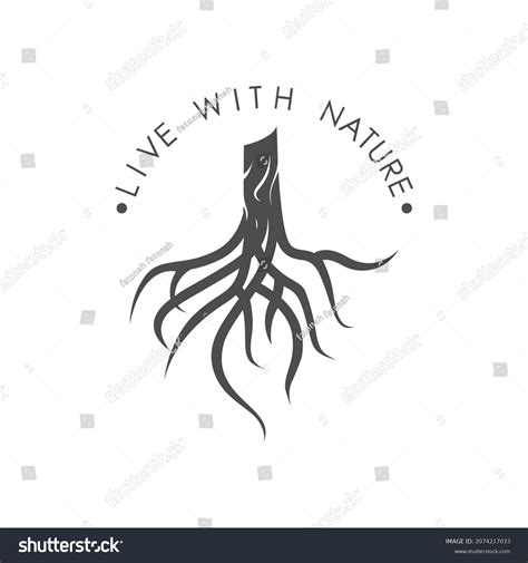 Tree Root Logo Design Vector Stock Vector Royalty Free 2074217033 Shutterstock