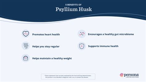 Bountiful Benefits Of Psyllium Husk Persona