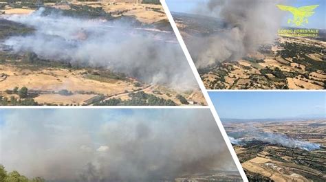 Incendi Protezione Civile Sardegna Domani Pericolo Alto