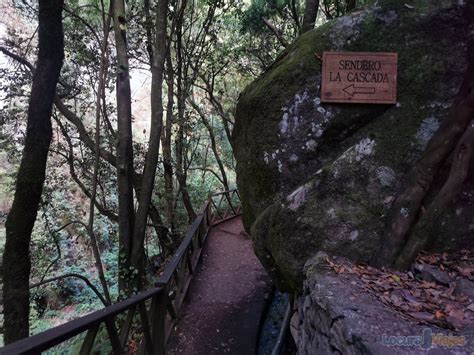 La Cascada De Los Tilos Y Sus Rutas De Senderismo La Palma