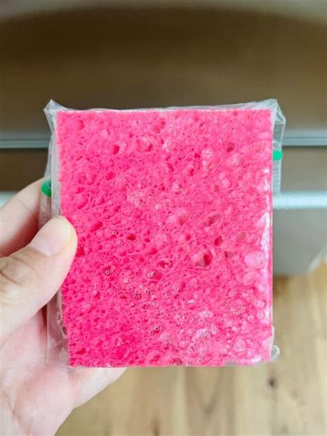 Clever Sponge Ice Pack Hack No Ice Pack No Problem