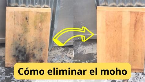 Elimina El Moho De Los Muebles De Madera Trucos Infalibles Para Acabar Con El Problema