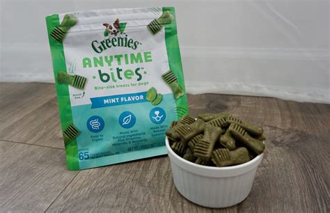 Are Greenies Good for Dogs? Vet-Approved Nutrition Guide – Dogster