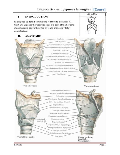 Diagnostic Des Dyspn Es Laryng Es