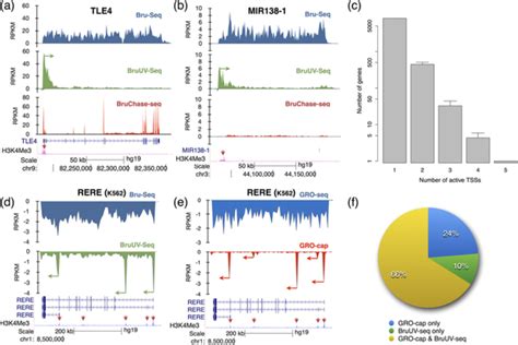 Bruuv Seq Identifies Tsss Genome Wide A Bruuv Seq Using 20 Jm2