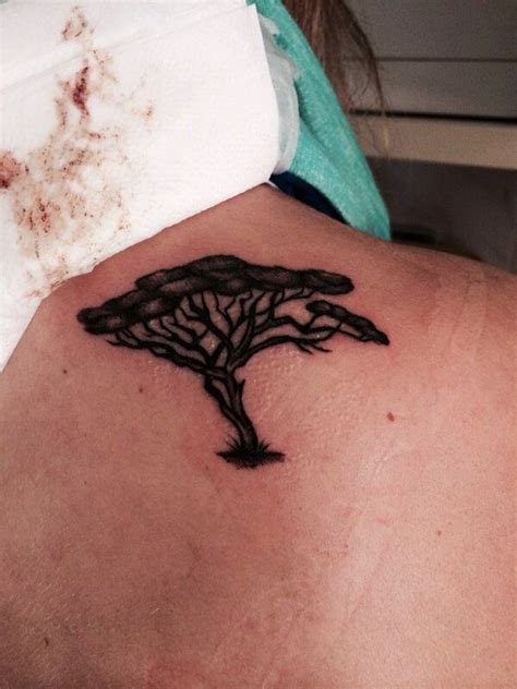 Tattoo Acacia. | Tattoos, Tattoo quotes, Maple leaf tattoo
