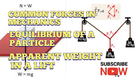 Plus One Physics Laws Of Motion Common Forces In Mechanics