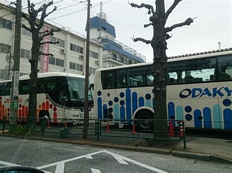 今年最初の飛行機で出張・・・向かった先は？？ たび・旅行おいしいもの体験記♪たびこんブログ