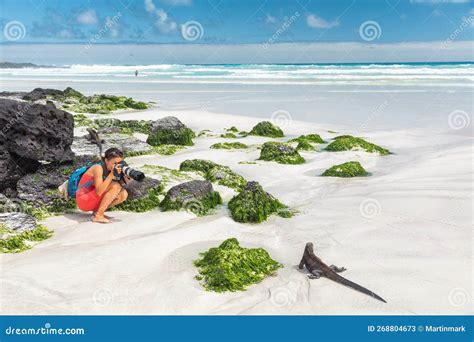 Galapagos Islands Travel Wildlife Photography Photographer Tourist